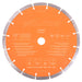 Evolution PD230SEG-CS | 9 in. | 7/8 in. Arbor | High Diamond Concentration | Segmented Diamond Blade